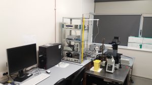 Centrul de cercetare Neurobiologie şi Fiziologie moleculară