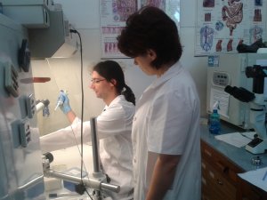 Centrul de cercetare Neurobiologie şi Fiziologie moleculară