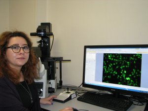 Centrul de cercetare Neurobiologie şi Fiziologie moleculară
