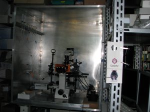 Centrul de cercetare Neurobiologie şi Fiziologie moleculară
