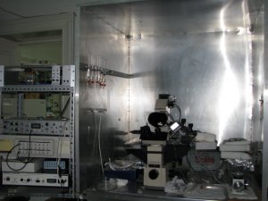 Centrul de cercetare Neurobiologie şi Fiziologie moleculară