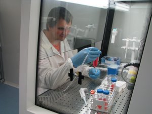 Centrul de cercetare Neurobiologie şi Fiziologie moleculară