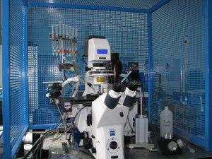 Centrul de cercetare Neurobiologie şi Fiziologie moleculară