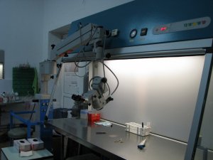 Centrul de cercetare Neurobiologie şi Fiziologie moleculară