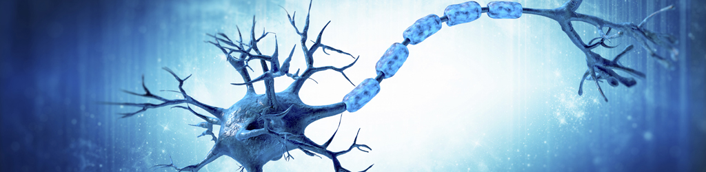 iStock_43123828_XXLARGE.jpg